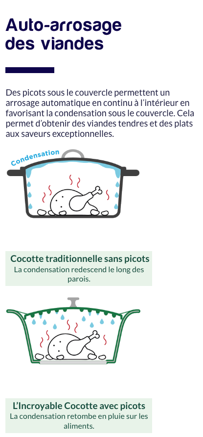 COOKUT - Cocotte 24 CM SAUGE (Vert Clair)